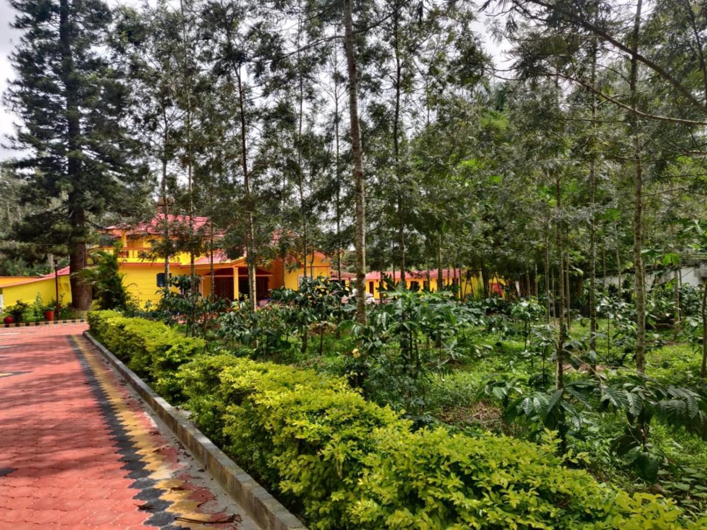 Coffeebean Villa - Unwind & Rejuvenate Sakleshpur Eksteriør billede