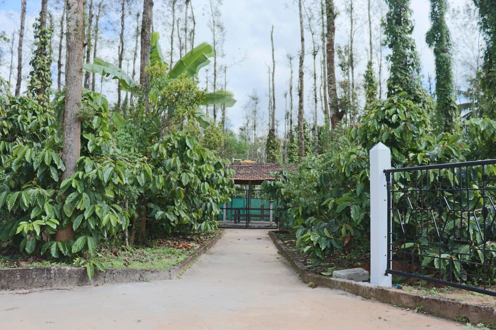 Coffeebean Villa - Unwind & Rejuvenate Sakleshpur Eksteriør billede